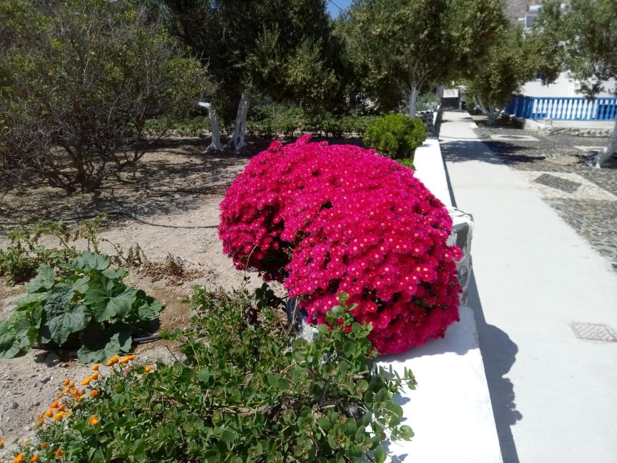 Hotel Perissa Agios Georgios  Екстериор снимка